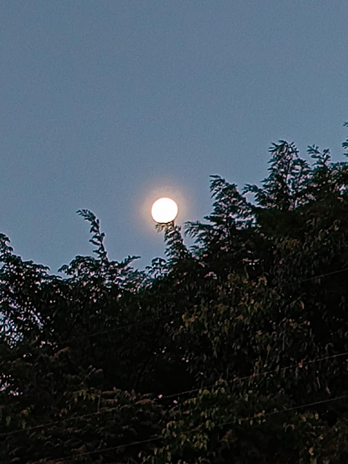 Paz E Descanso Chacara Meu Morrinho *